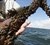 Økologiske muslinger dyrket på line i Limfjorden. Foto DSC.