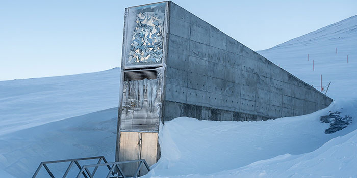 Global Seed Vault. Photo: Line Reeh