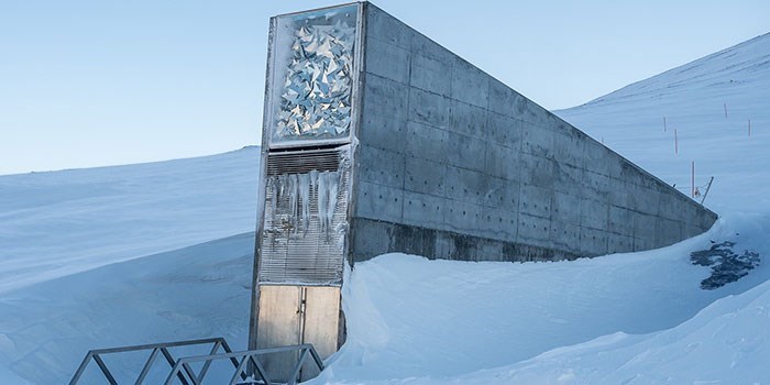 Indgangspartiet til Global Seed Vault på Svalbard. Foto: Line Reeh